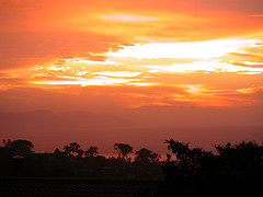 New Year Sunrise