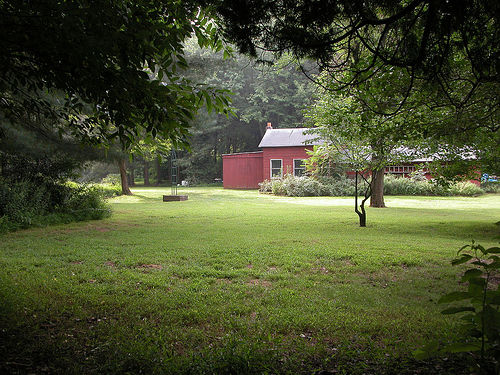 BigBrook Backyard: 