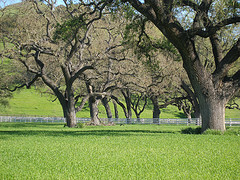 Figueroa loop, 2006