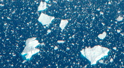 Greenland icebergs