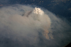 Trinity fire